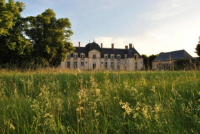 Отель Chateau La Touanne Loire valley  Баккон